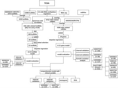 Development and Validation of Prognostic Model for Lung Adenocarcinoma Patients Based on m6A Methylation Related Transcriptomics